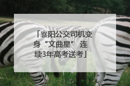 襄阳公交司机变身“文曲星” 连续3年高考送考