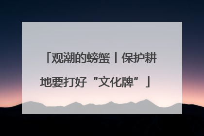 观潮的螃蟹丨保护耕地要打好“文化牌”