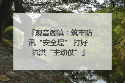 观音阁镇：筑牢防汛“安全堤” 打好抗洪“主动仗”