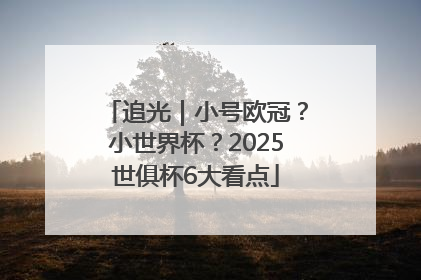 追光｜小号欧冠？小世界杯？2025世俱杯6大看点