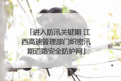 进入防汛关键期 江西高速管理部门织密汛期道路安全防护网