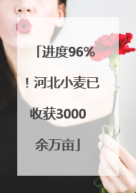 进度96%！河北小麦已收获3000余万亩