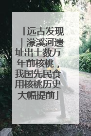 远古发现｜濛溪河遗址出土数万年前核桃，我国先民食用核桃历史大幅提前