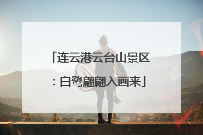 连云港云台山景区：白鹭翩翩入画来