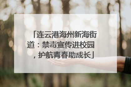 连云港海州新海街道：禁毒宣传进校园，护航青春助成长