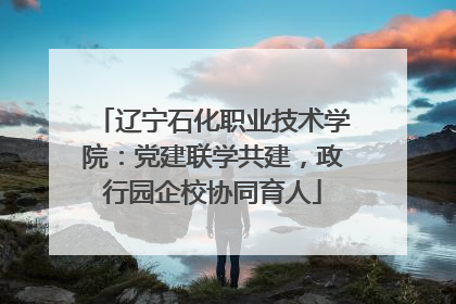 辽宁石化职业技术学院：党建联学共建，政行园企校协同育人