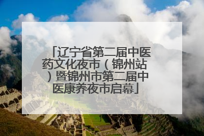 辽宁省第二届中医药文化夜市（锦州站）暨锦州市第二届中医康养夜市启幕