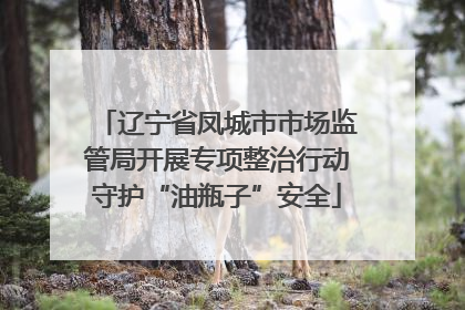辽宁省凤城市市场监管局开展专项整治行动守护“油瓶子”安全