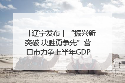 辽宁发布｜“振兴新突破 决胜勇争先”营口市力争上半年GDP增长6%左右