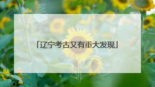 辽宁考古又有重大发现