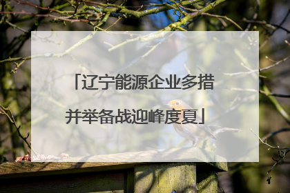 辽宁能源企业多措并举备战迎峰度夏