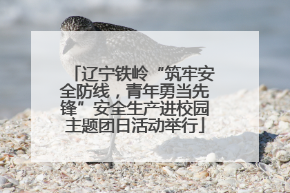 辽宁铁岭“筑牢安全防线，青年勇当先锋”安全生产进校园主题团日活动举行