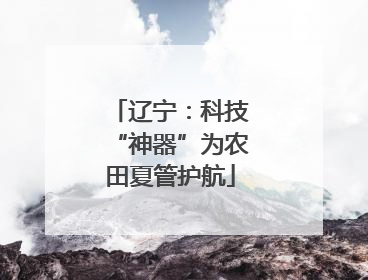 辽宁：科技“神器”为农田夏管护航
