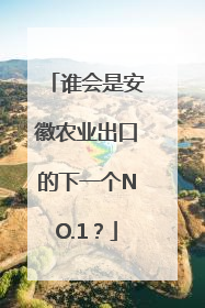 谁会是安徽农业出口的下一个NO.1？