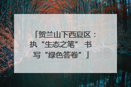 贺兰山下西夏区：执“生态之笔” 书写“绿色答卷”