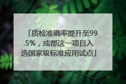 质检准确率提升至99.5%，成都这一项目入选国家级标准应用试点