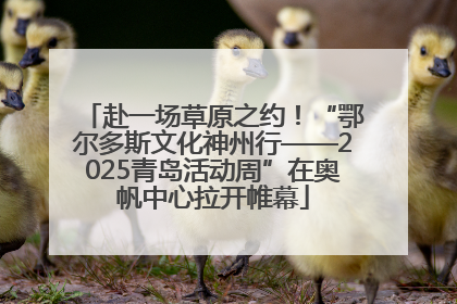 赴一场草原之约！“鄂尔多斯文化神州行——2025青岛活动周”在奥帆中心拉开帷幕