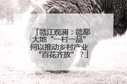 赣江观澜：赣鄱大地“一村一品”何以推动乡村产业“百花齐放”？