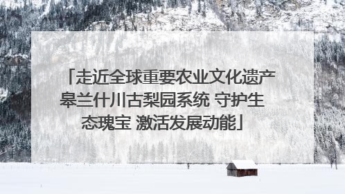 走近全球重要农业文化遗产皋兰什川古梨园系统 守护生态瑰宝 激活发展动能
