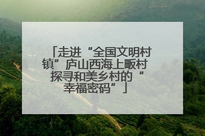 走进“全国文明村镇”庐山西海上畈村 探寻和美乡村的“幸福密码”