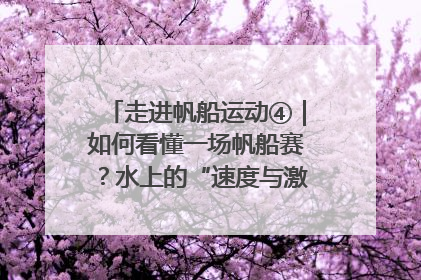 走进帆船运动④｜如何看懂一场帆船赛？水上的“速度与激情”同样精彩
