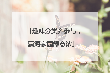 趣味分类齐参与，瀛海家园绿意浓