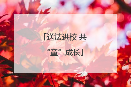 送法进校 共“童”成长