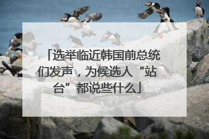 选举临近韩国前总统们发声，为候选人“站台”都说些什么