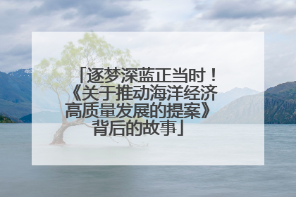 逐梦深蓝正当时！《关于推动海洋经济高质量发展的提案》背后的故事