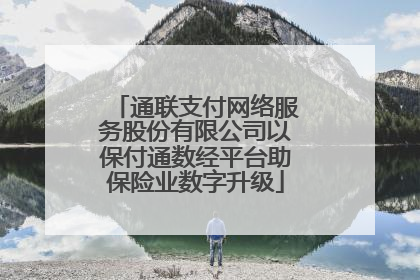 通联支付网络服务股份有限公司以保付通数经平台助保险业数字升级