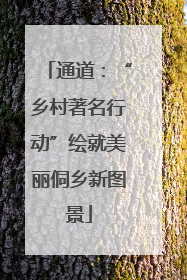 通道：“乡村著名行动”绘就美丽侗乡新图景