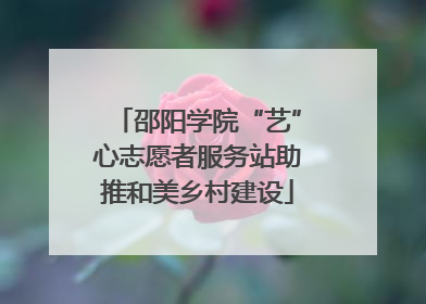 邵阳学院“艺”心志愿者服务站助推和美乡村建设