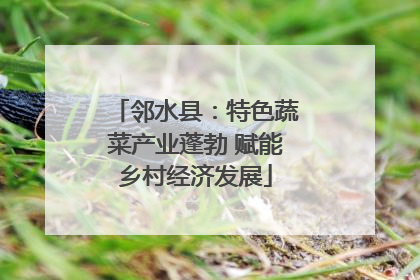 邻水县：特色蔬菜产业蓬勃 赋能乡村经济发展