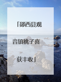 郧西县观音镇桃子喜获丰收