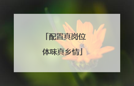 配置真岗位 体味真乡情