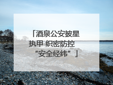 酒泉公安披星执甲 织密防控“安全经纬”