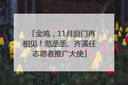 金鸡，11月厦门再相见！范丞丞、齐溪任志愿者推广大使