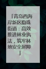 青岛西海岸新区隐珠街道：高效推进林业执法，筑牢林地安全屏障