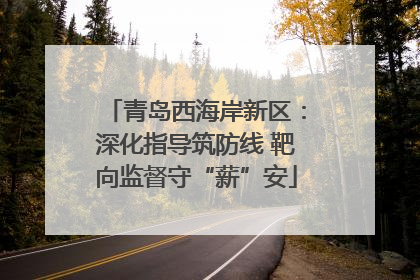 青岛西海岸新区：深化指导筑防线 靶向监督守“薪”安