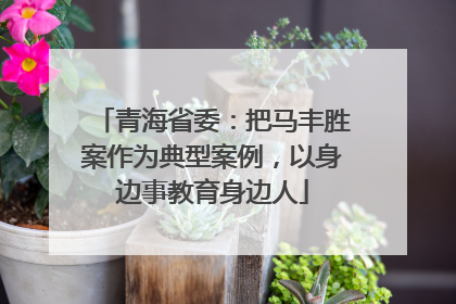 青海省委：把马丰胜案作为典型案例，以身边事教育身边人