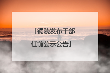 铜陵发布干部任前公示公告