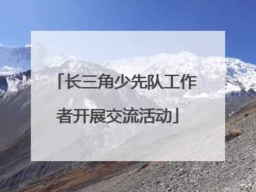 长三角少先队工作者开展交流活动
