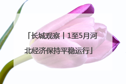 长城观察丨1至5月河北经济保持平稳运行