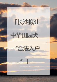 长沙拟让中华田园犬“合法入户”