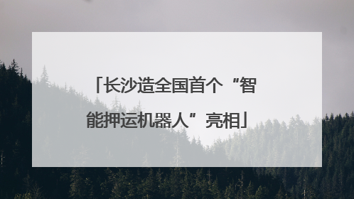 长沙造全国首个“智能押运机器人”亮相