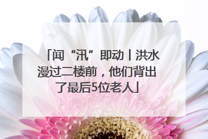 闻“汛”即动丨洪水漫过二楼前，他们背出了最后5位老人