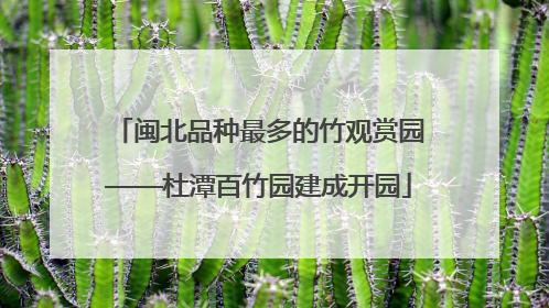 闽北品种最多的竹观赏园——杜潭百竹园建成开园