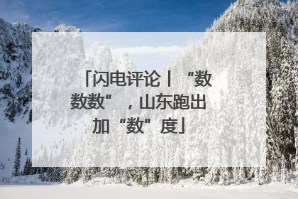 闪电评论丨“数数数”，山东跑出加“数”度