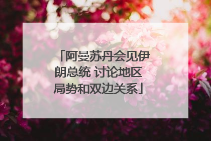 阿曼苏丹会见伊朗总统 讨论地区局势和双边关系