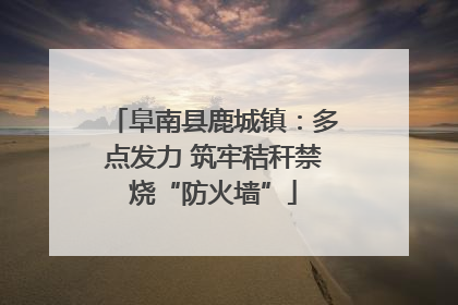 阜南县鹿城镇：多点发力 筑牢秸秆禁烧“防火墙”